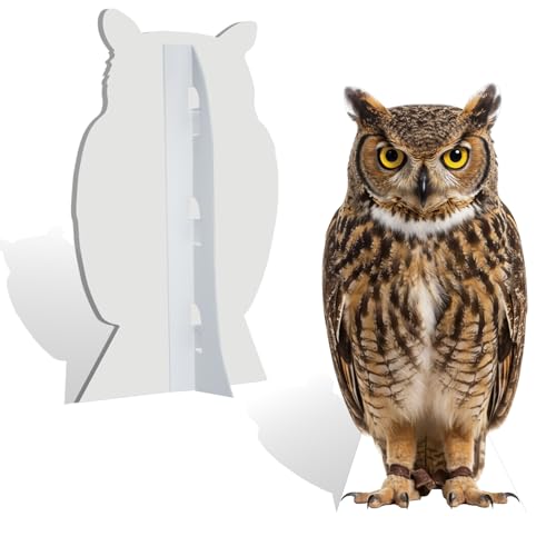 Image of Owl Life Size Cardboard Cutout, 4FT for Events & Party Decor | Life Size Fun Animal Standup Owl Cardboard Cutout for Birthday Parties, Photo Booth Props, Party Decorations, 1 PC
