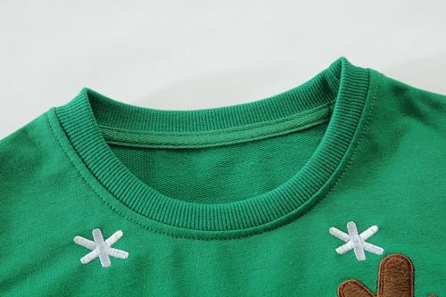 DDSOL Toddler Little Boy Girl Christmas Sweatshirt Kid Xmas Ugly Reindeer Santa Dinosaur Shirt Clothes Long Sleeve Tee Top4