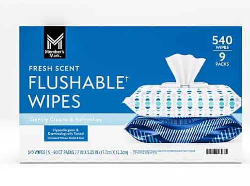 Flushable Wipes, 540 Count (Pack of 9)