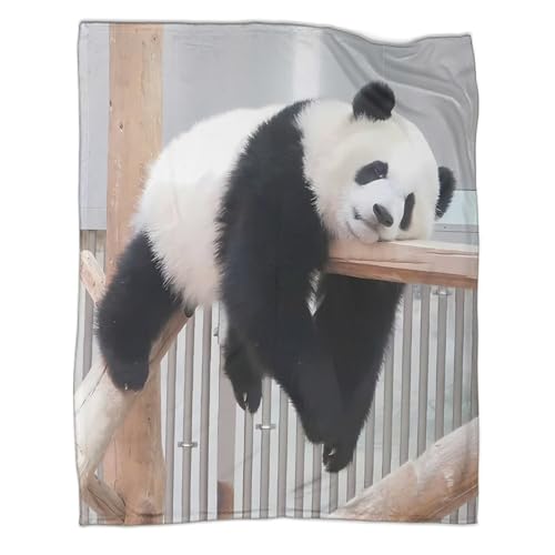 Plaid microfibre panda 3D jeté de salon inaltérable haute densité 150x200cm