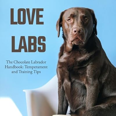 The Chocolate Labrador Handbook