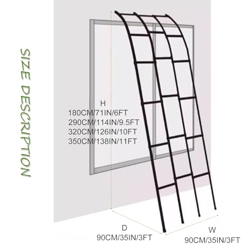 Arco de jardín decorativo con enrejado de metal: soporte para plantas trepadoras de pared 3