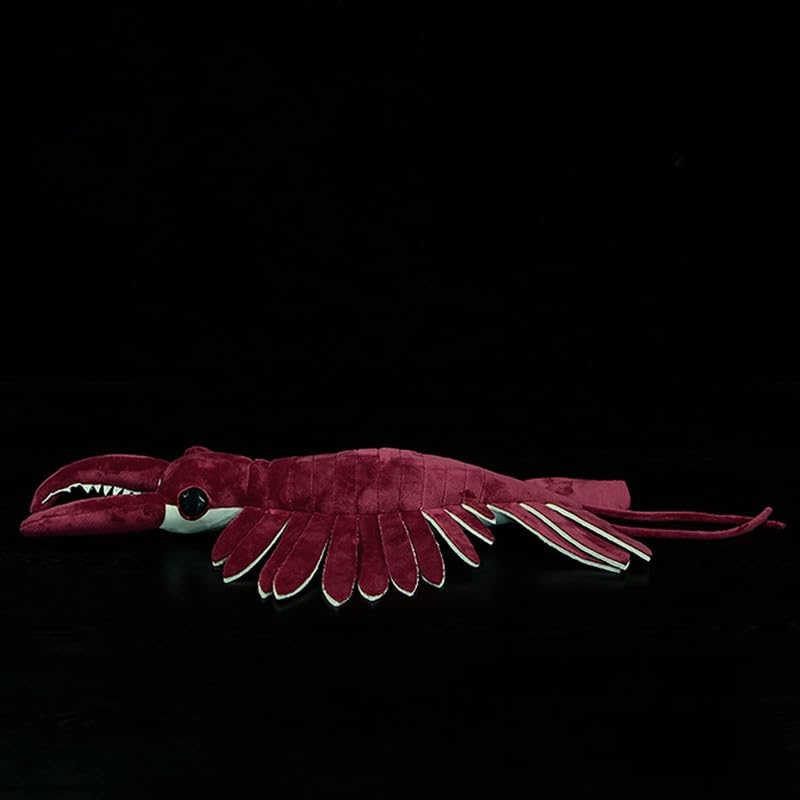PuffPurrs Realistic Cambrian Ancient Organism Anomalocaris Plush Toy - Image 3