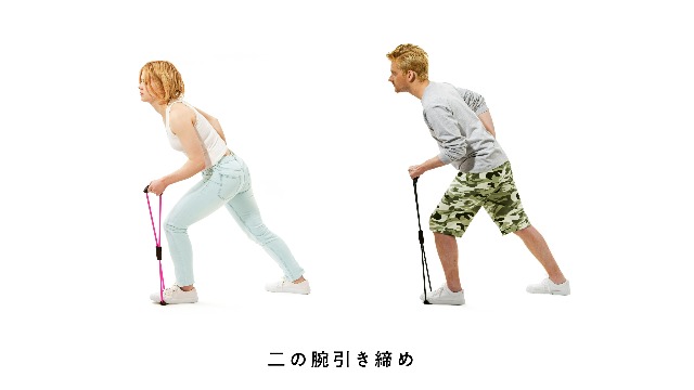 Amazon.co.jp: サクライ貿易 (SAKURAI) エルガム(erugam) トレーニング