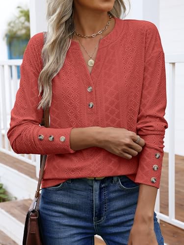 ANRABESS Womens Eyelet Tops Long Sleeve Henley Shirts Business Dressy Casual Blouse Vacation T-Shirt 2025 Fall Outfits