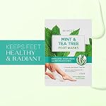Tea Tree & Mint Foot Masks - Fights Athlete's Foot, Detoxifies & Exfoliates, Cooling & Relaxing - Dermatologist Tested Korean Skincare - Clean Beauty, Cruelty-Free, All Skin Types - 3 Pairs - Image 2