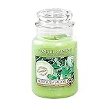 Yankee Candle Honeydew Melon Scented, Classic 22oz Large Jar Single Wick Candle, Over 110 Hours of Burn Time