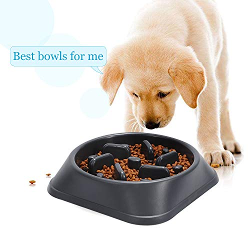Jasgood Slow Feeder Dog Bowls Slow Eating Pet Bowl Eco-Friendly Durable Non-Toxic Preventing Choking Healthy Design Bowl For Dog Pet Stop Bloat Bowl(G-Grey) #TOP3
