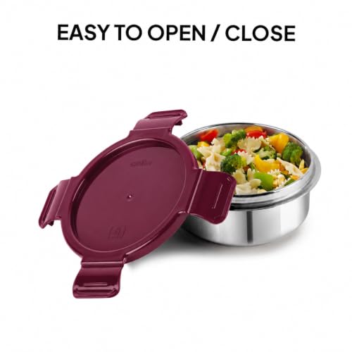 Image of CELLO MF Senator Set of 4 Stainless Steel Lunch Box with Extendable Zipper Bag, Burgundy | 300ml, 300ml, 500ml Containers, 750ml Oval Container with Spoon & Fork, Leakproof Tiffin Set for Office