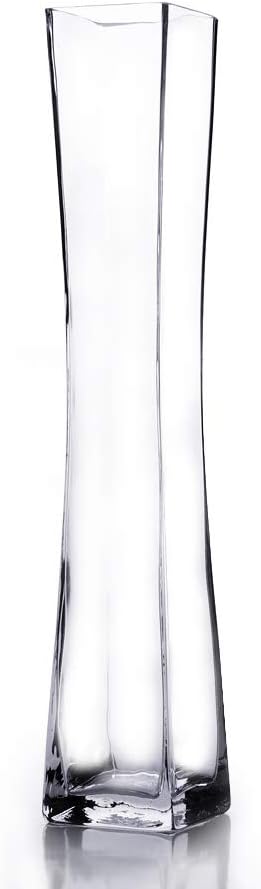 WGV Unique Concaved Square Tall Glass Vase, 21.5-Inch, Clear
