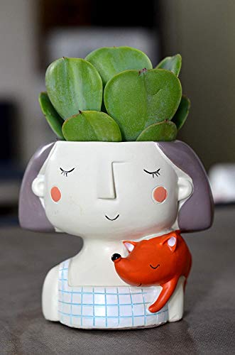 Image of Cute Beautiful Combo Pack of 4 Girls Succulent Planter Pots Resin Creative Flowerpot Plant Pot Planter Container for Home Garden Office Desktop Decoration (2 Boy And 2 Girl Pot)