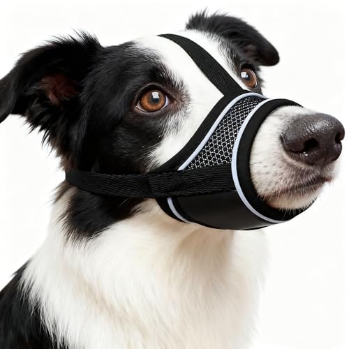 Maulkorb für Hunde, Nylon-Maulkorb Für Hunde Verstellbares Gurtband Geeignet für Maulkörbe von mittleren und großen Hunden Verhinderung von Bellen, Beißen und Kauen (M)