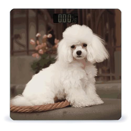 Báscula digital French Poodle de vidrio templado con pantalla LCD