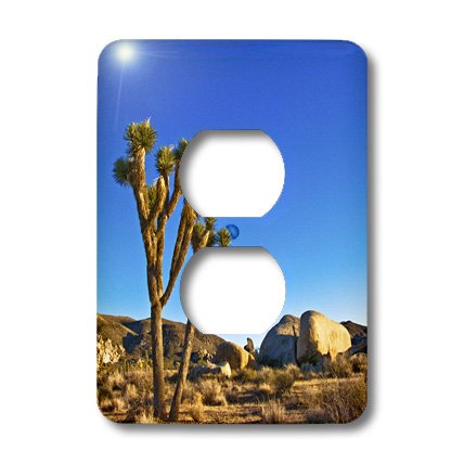 Plaque double prise Joshua Tree Landscape 3dRose finition haute définition