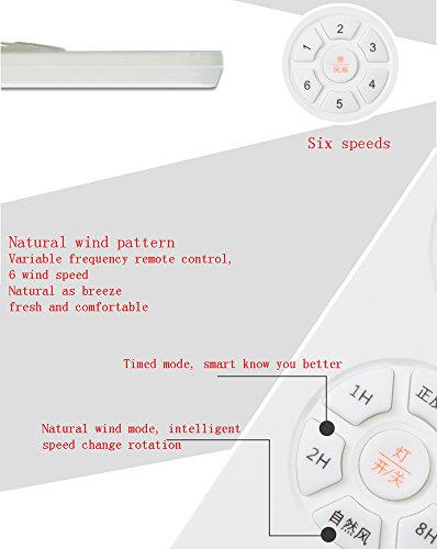 Ventilateur de plafond silencieux télécommande et éclairage LED moderne - 7