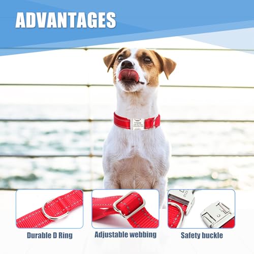 Personalisiertes Hundehalsband mit lasergravierbarem Namen, reflektierendes Nylon-Haustierhalsband mit Metallschloss, anpassbar in der Größe, Geschenk für Hunde(Blau)