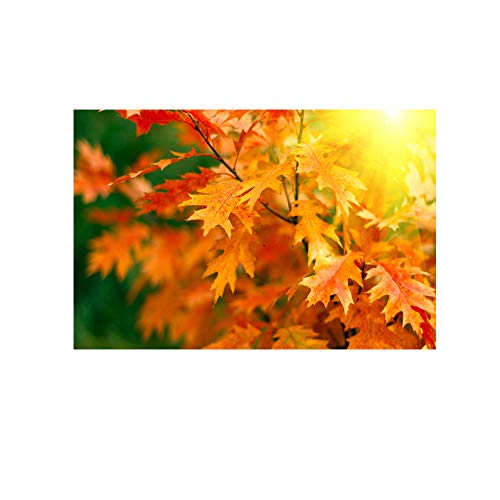 �������c���[ART �|�X�^�[ �g�t �H ���R���i �|�X�^�[ �ǎʐ^ �C�̎ʐ^ ���R ���i�� �C���e���A�����i �Ǐ��� �Ǌ|���G�� �������� �V�z���j���ɍœK�i90��60cm��1���j