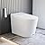 Casta Diva Smart Toilet, Wider Bidet with Heated Seat, Warm Water, Foot Sensor Auto Flushing, Modern Japanese Toilet for Bathroom with Remote Control