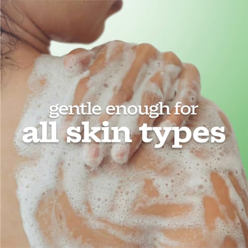 Image of Ivory Gentle Body Wash, Designed for the Whole Family, Free of Dyes Heavy Perfumes Parabens Phthalates & Silicones, Aloe Scent, 35 oz