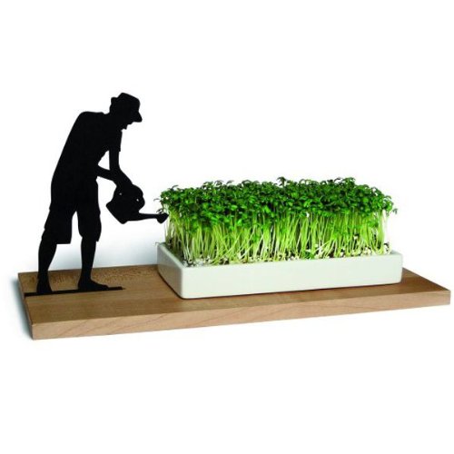 Preisvergleich Produktbild Side by Side - Keksschale, Kresseschale - Plätzchenschale - Gärtner - Holz, Porzellan