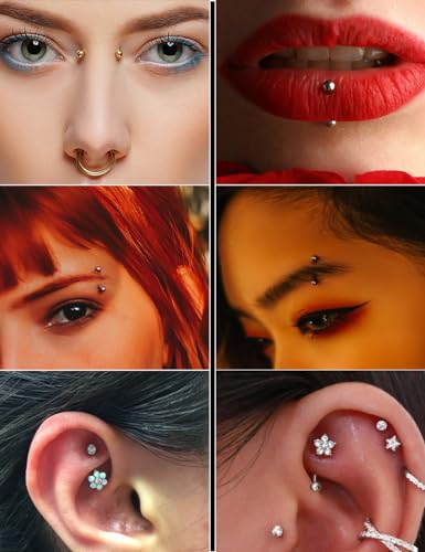 Oufksiyy 16G Rook Piercing Jewerlry Surgical Steel Eyebrow Piercing Jewelry Flower Crystal Heart CZ Moon Shape Eyebrow Rings Snake Eyes Rook Earrings for Women Men Tongue Retainer，Silver Barbell4
