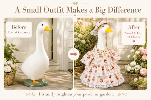 Porch Goose Outfits - image 4