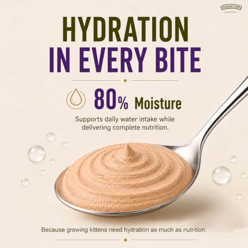 Image of Grain Zero Adult Cat Wet Mousse 80g Pack of 5, (400g) | Ocean Fish | Rich in Protein | Promotes Hydration & Easy to Digest | No Artificial Flavours | Packed with Essential Vitamins & Antioxidants