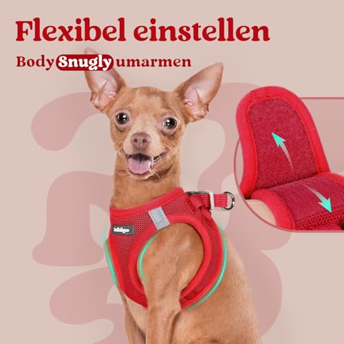 rabbitgoo Hundegeschirr Kleine Hunde, Step-in Welpengeschirr Weich Mesh für Spaziergänge, Atmungsaktives und Reflektierendes Brustgeschirr für Kleine und Mittelgroße Hunde, Rot, S