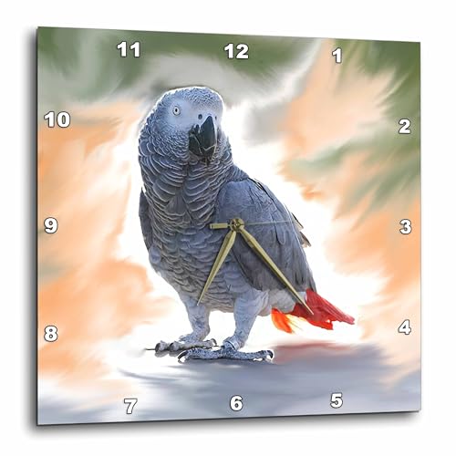 3dRose Wall Clock Silent - 13 inch - African Grey Parrot - Birds