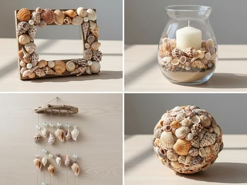 Image of Decorative Mix Sea Shell for Aquarium, shells for craft, jewellary making, Resin Art, Mix collection (All sizes) (400, Grams)