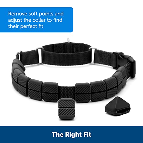 PetSafe Soft Point Training Collar, No Pull Training Collar for Dogs Rubber Soft Points, Large, 1 in, Black - Image 4
