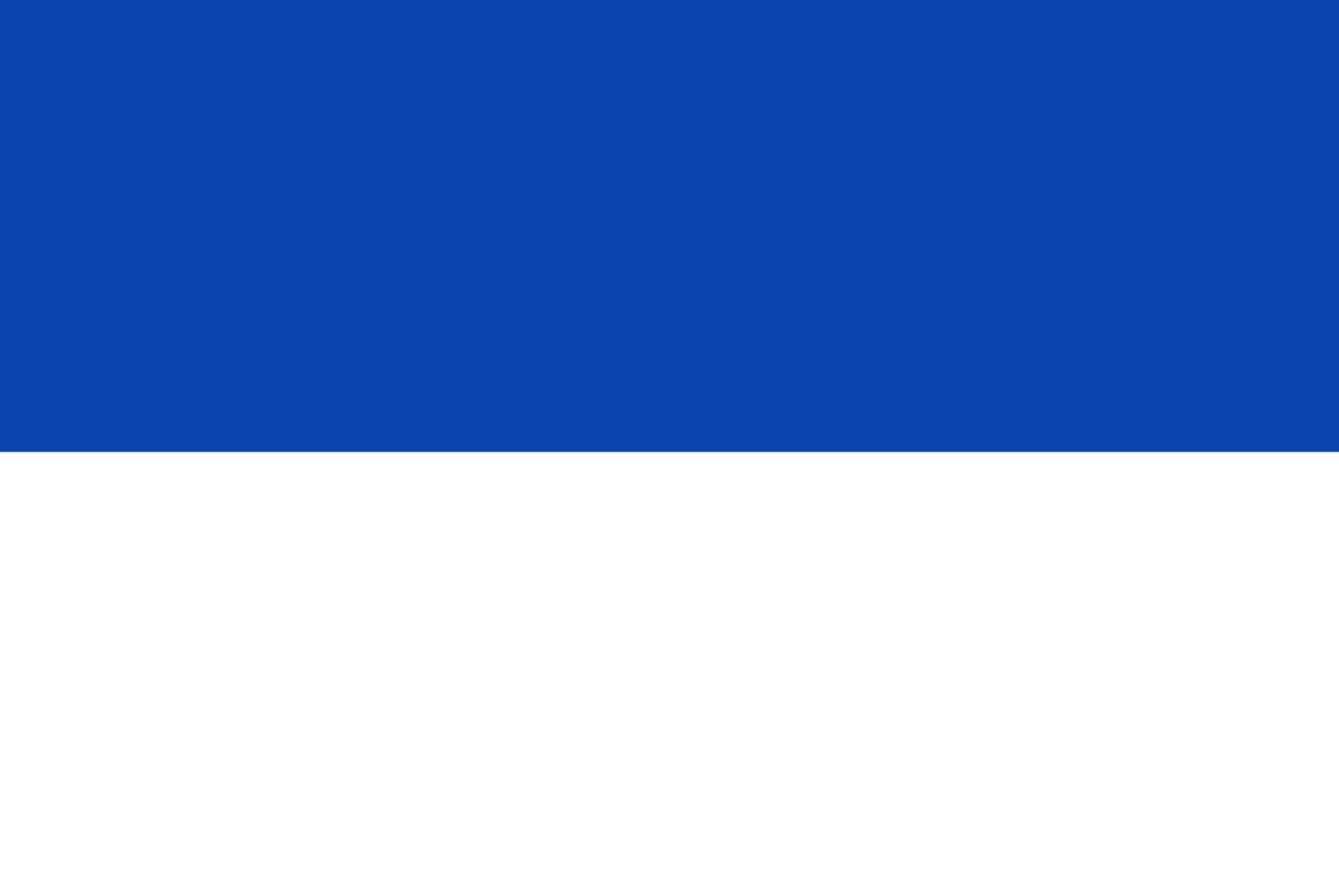 Vlag Zuid-Beijerland grand drapeau officiel ancienne municipalité
