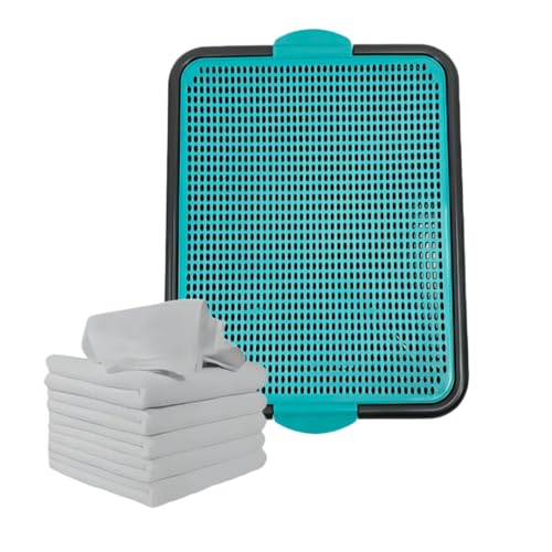 Sanitário Plástico Para Cães 56x42 cm + 3 Refil Interno Laváveis