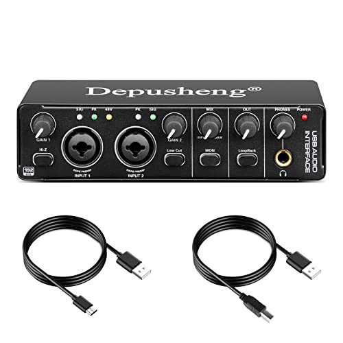 Depusheng RX2 Interfaz de audio USB grabación de computadora