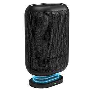 Monster DNA One Portable Bluetooth Speaker, Loud Speaker with 360 Bass Sound and 10W Wireless Charging Pad, IP67 Waterproof- Indoor and Outdoor Use