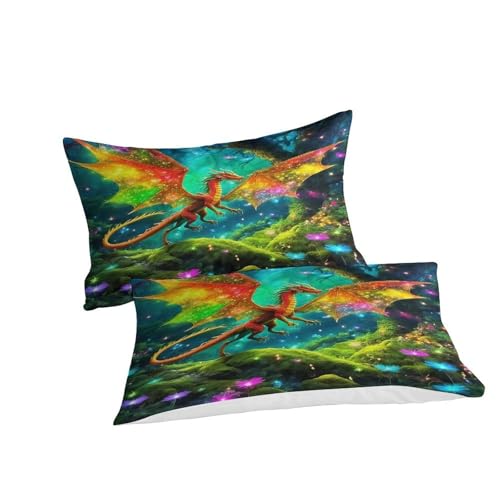 Linge de lit dragon doux en microfibre pour un sommeil réparateur