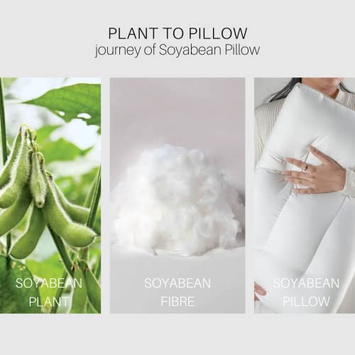 Image of Spread Spain Soyabean Pillow Standard Size Set of 2, Filling Soyabean Fiber, Orthopedic Bed Pillows, Back Side Sleeper Pillow for Neck and Shoulder Support, Soft, Machine Washable 18 inch x 27 inch