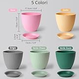 Winter Shore B0CW3DF43F lato 2