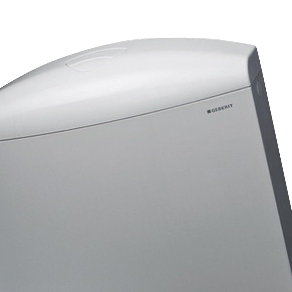 Geberit SCACAS0011CA AP117 Cassetta di Risciacquo, con Doppio Tasto, Bianco