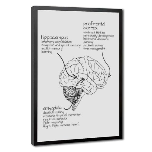 Diagramme schématique du tissu cérébral cadeau idéal pour étudiant en médecine