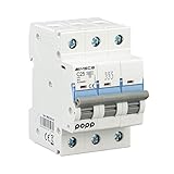 POPP® Interruptor Automático Magnetotérmico industrial CURVA C 1P 2P 3P + 6A 10A 16A 20A 25A 32A 40A 50A 63A … (3P, 25A)