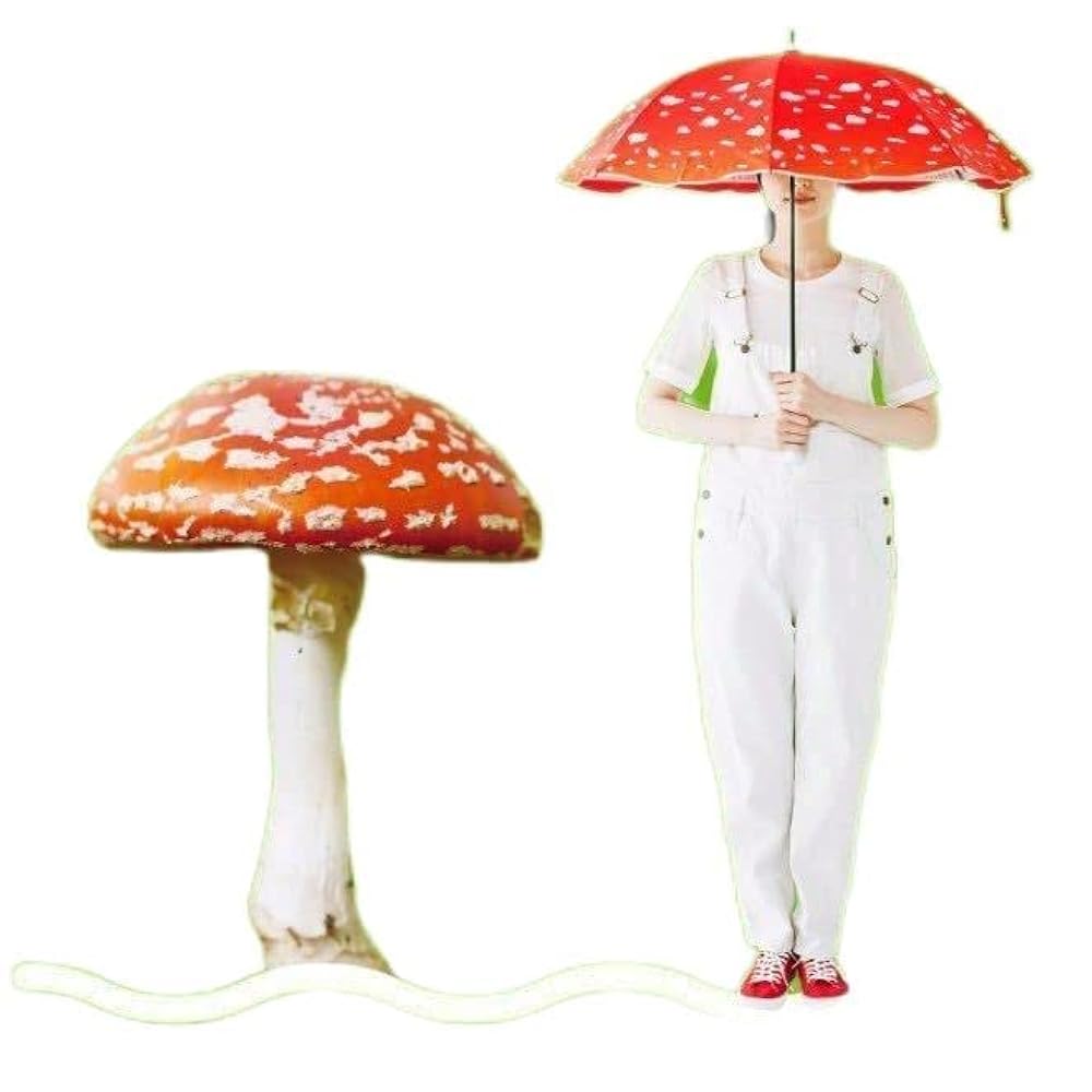 ベニテングタケ日傘　YOU+MORE! フェリシモ　一度使用 Amazon | レア ベニテングタケ 日傘 YOU+MORE! フェリシモ