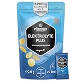 Polvo de Electrolitos Alta Dosis 2290mg - 25 Sobres con Magnesio, Potasio, Calcio + 8 Vitaminas B para el Equilibrio Electrolítico, Sabor Natural a Limón, Vegano, Deporte y Dieta Cetogénica