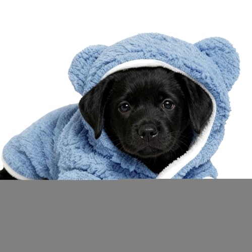 LpuPbg, gR[gWPbgJo[, t[XnhbOt[fB, nEBA~ANX}XA`AqLAp