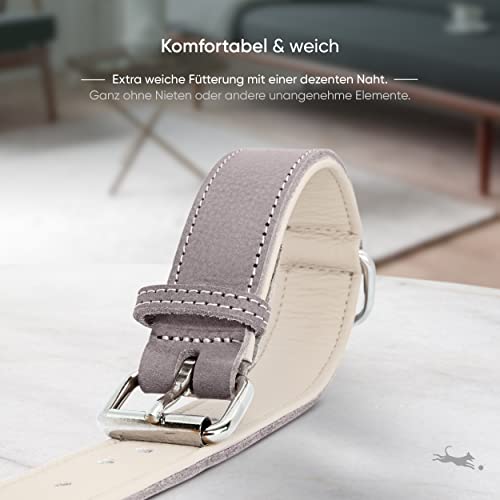 FREUDENTIER Hundehalsband aus Leder, Made in EU, gefüttert & super komfortabel, hochwertiges breites Lederhalsband aus Vollnarbenleder, Model “Amstelpark” (42-52cm Halsumfang, Graubraun)