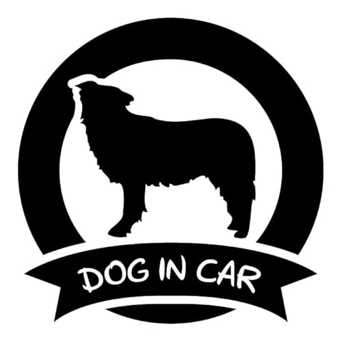 {[_[R[  XebJ[ V[ DOG IN CAR hbO C J[ ی` ~` {  ybg I[i[ ObY G ACe   Gu fJ[ ANZT[ uh AEghA   (32