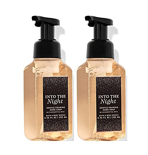 Bath and Body Works Gentle Foaming Hand Soap, 2-Pack 8.75 Ounce (Into the Night)