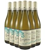 Corbières Campana bianco 2024 - Organico - Château Beauregard-Mirouze - DOP - Linguadoca Rossiglione - Francia - Vitigni Marsanne,Roussanne,Vermentino - 6x75cl