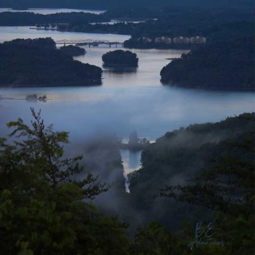 Blue Zone Principles- Natural Movement