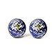 Produktbild Erde, Welt, Welt, Planet Earth Post Ohrringe, Ohrstecker, natur Schmuck, Glas Ohrringe, Bild Ohrringe